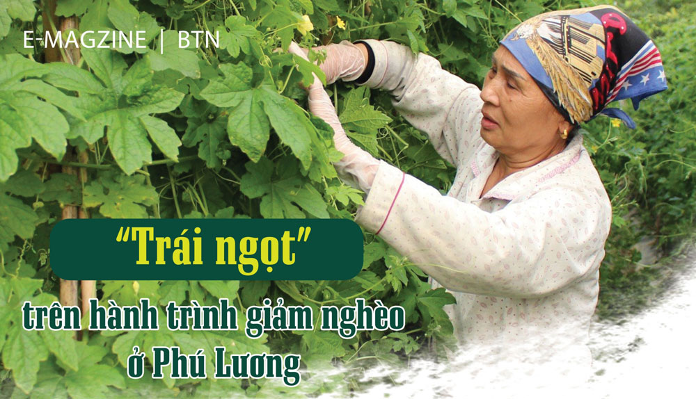 "Trái ngọt" trên hành trình giảm nghèo ở Phú Lương