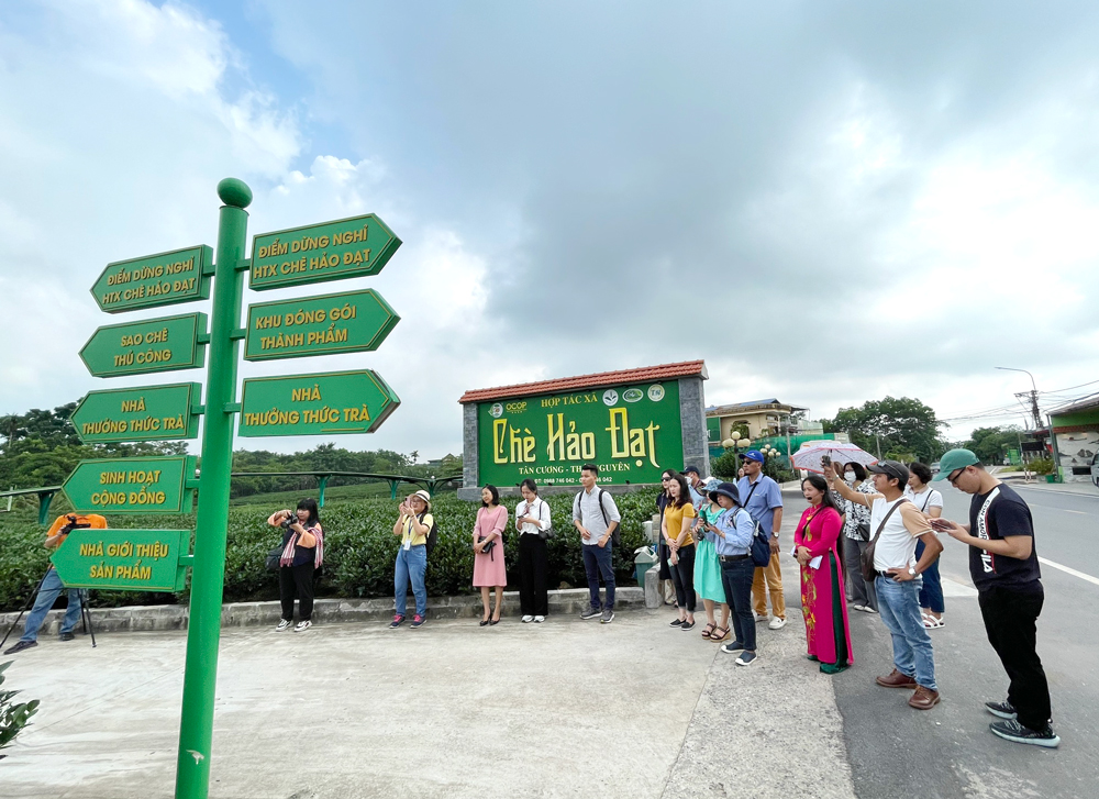 Đoàn đến khảo sát và trải nghiệm hoạt động chế biến chè tại điểm du lịch cộng đồng xã Tân Cương.