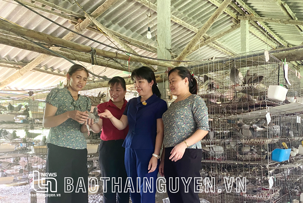 Chị Trần Thị Lý, xóm Ngòi Chẹo, xã Nam Hòa (người ngoài cùng bên trái) trao đổi kinh nghiệm nuôi chim bồ câu với cán bộ Hội LHPN huyện Đồng Hỷ.