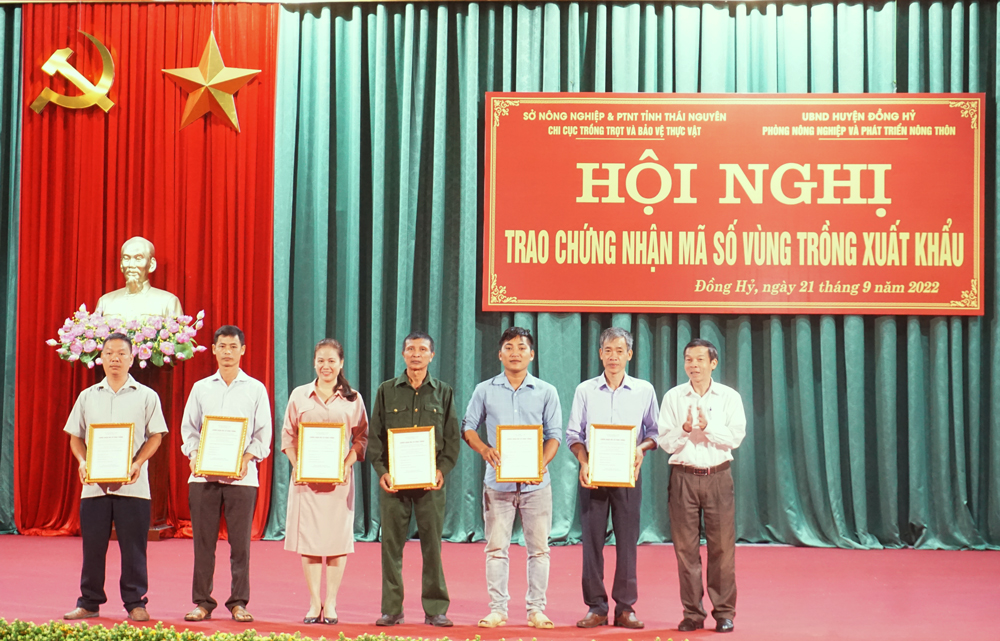 Leaders of the Sub-Department of Cultivation and Plant Protection awarded certificates of export growing area codes to cooperatives and enterprises of Dong Hy district.