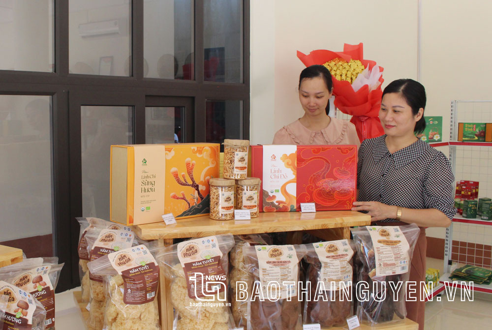 Các sản phẩm được giới thiệu tại Điểm trưng bày và bán sản phẩm nông nghiệp chủ lực, OCOP của huyện Đại Từ.