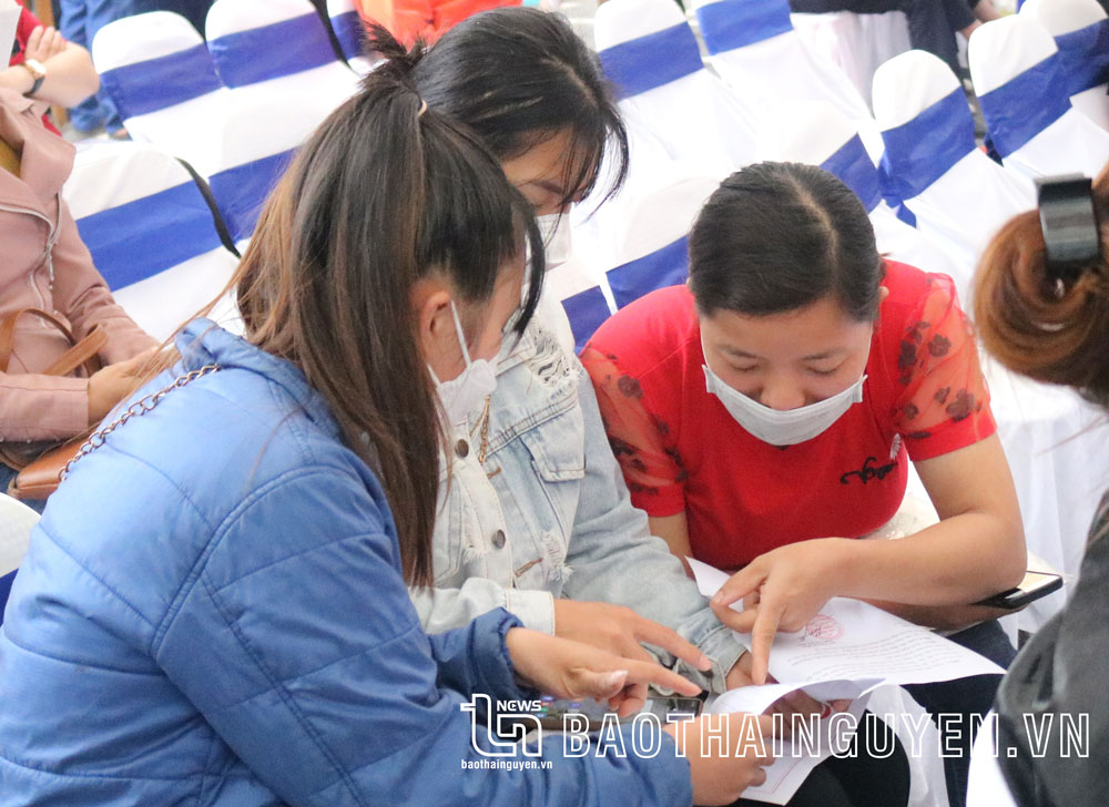 Người lao động tìm hiểu về chính sách hỗ trợ bảo hiểm thất nghiệp tại Trung tâm Dịch vụ việc làm Thái Nguyên.