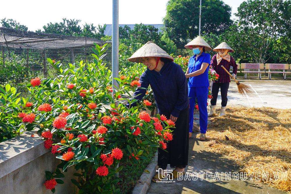 Hội viên phụ nữ xã Tiên Hội (Đại Từ) tham gia chăm sóc cây cảnh, vệ sinh môi trường.