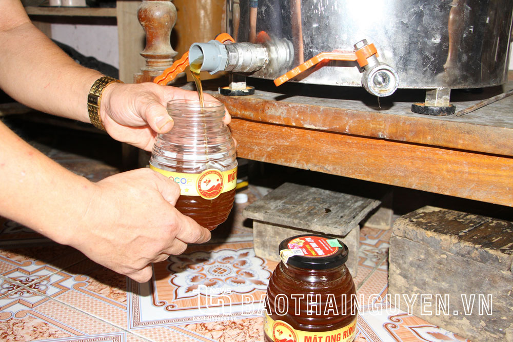 Với việc đưa máy móc tiên tiến vào sản xuất, HTX đã tạo ra sản phẩm mật ong thiên nhiên sánh mịn, vàng óng, hương vị thơm ngon hơn so với mật được quay thủ công. Giá bán mật cũng tăng từ 100-120 nghìn đồng/ lít lên 150 đến 220 nghìn đồng/lít.